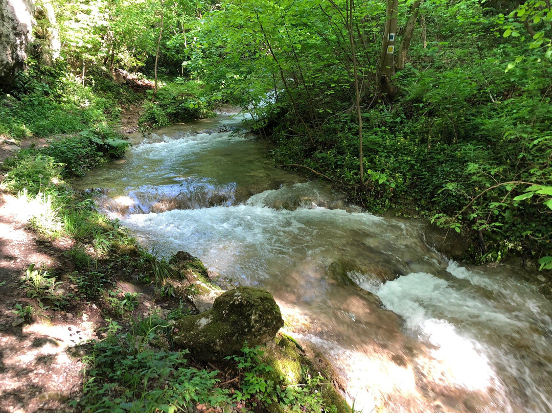 Susara Waterfall景点图片