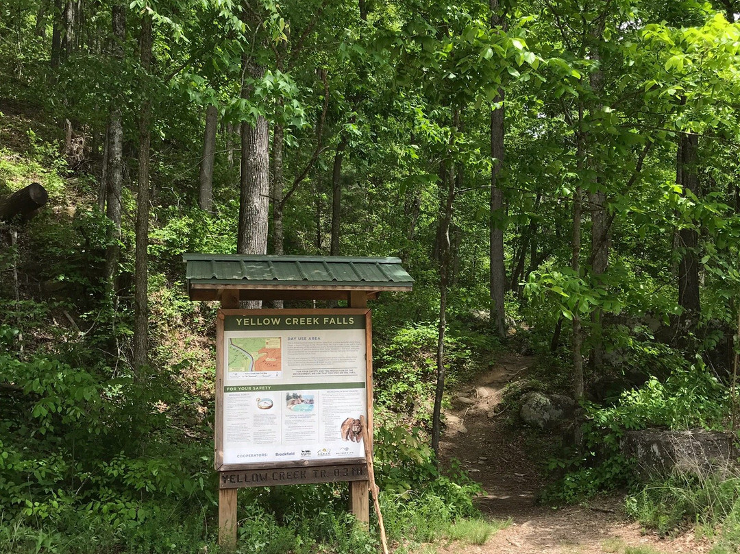 Yellow Creek Falls-罗宾斯维尔必去景点