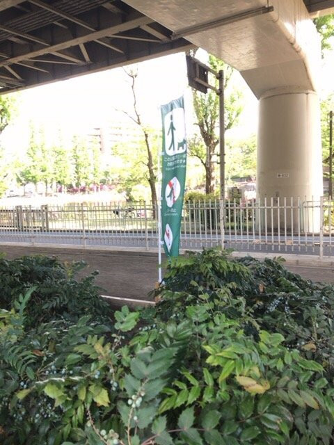 Mitsugi Park-板桥区必去景点