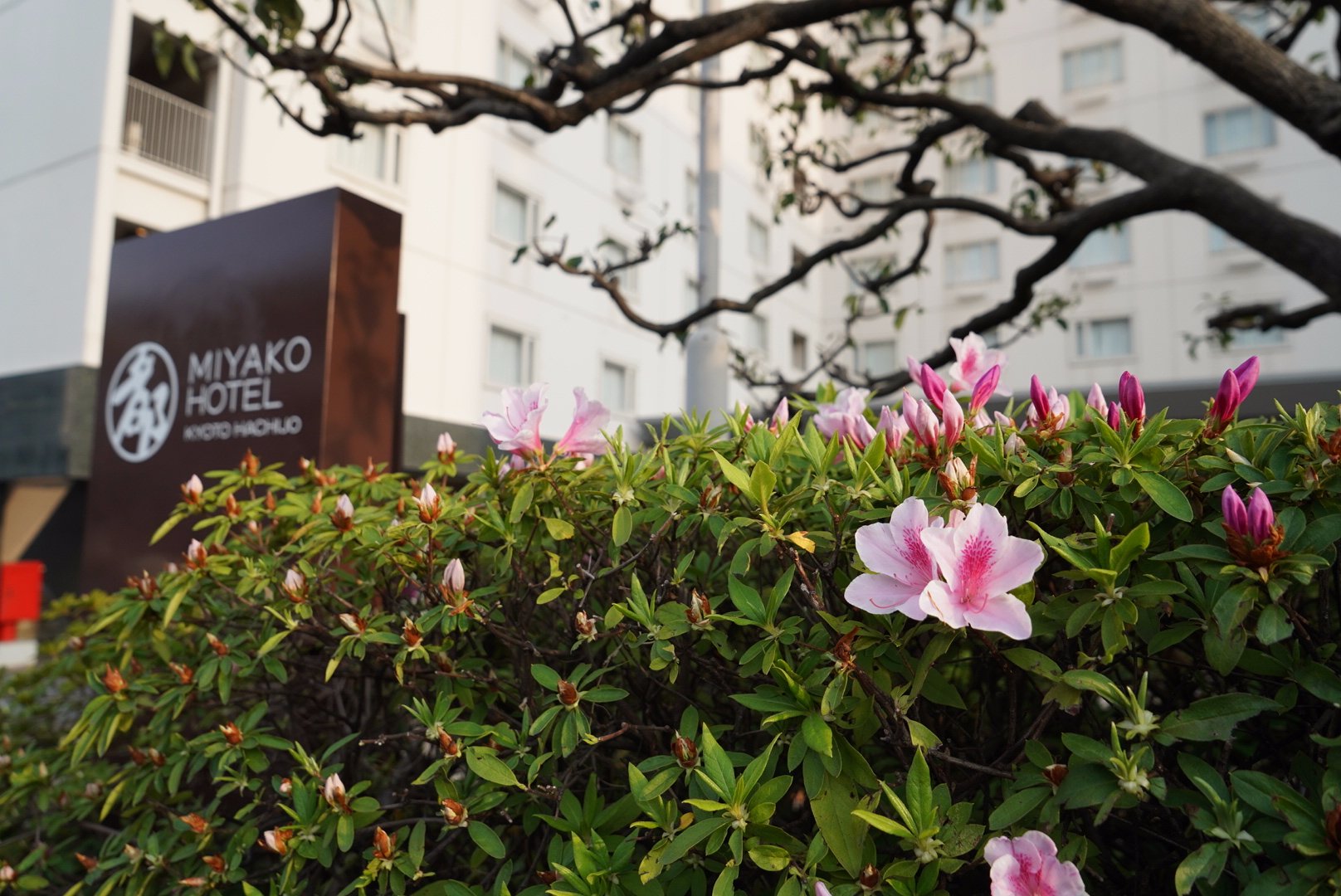 新・都酒店-浴室