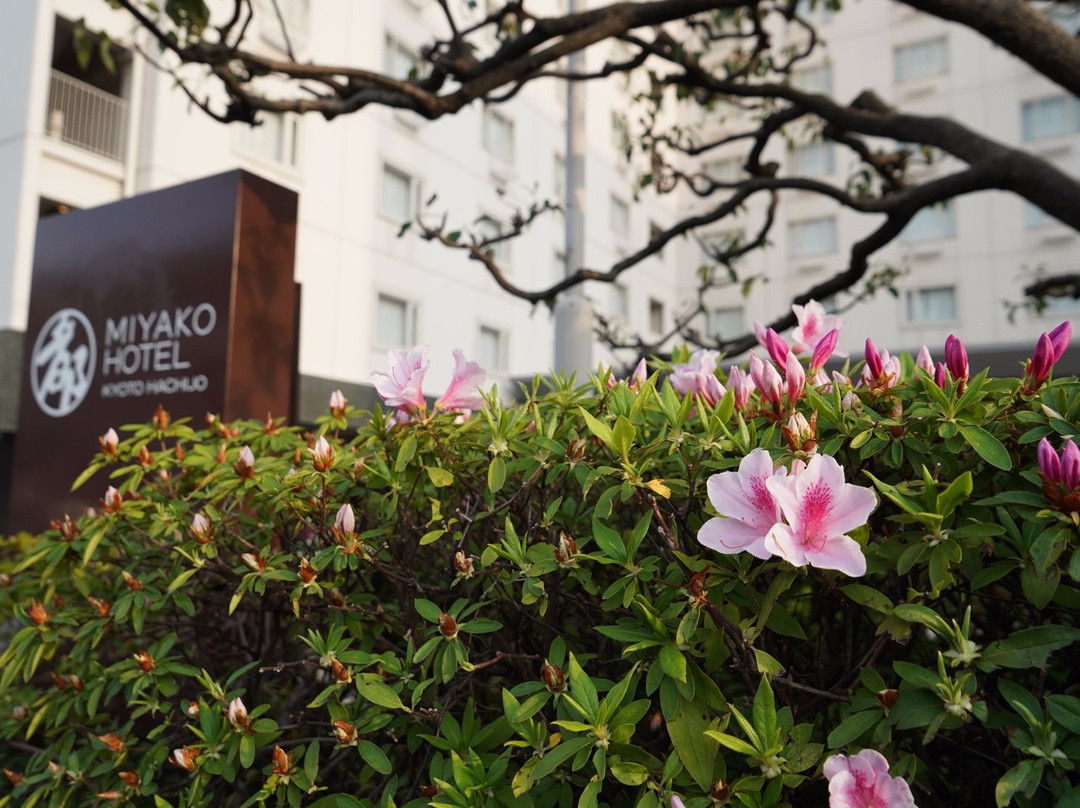 新・都酒店主图