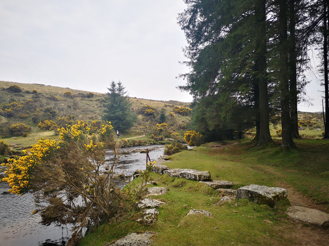 Bellever Forest - Forestry England景点图片