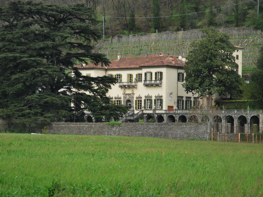 Villa Dosi Delfini景点图片