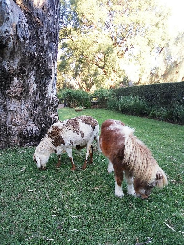 Sondela Rehab Centre Bela Bela-贝拉贝拉必去景点