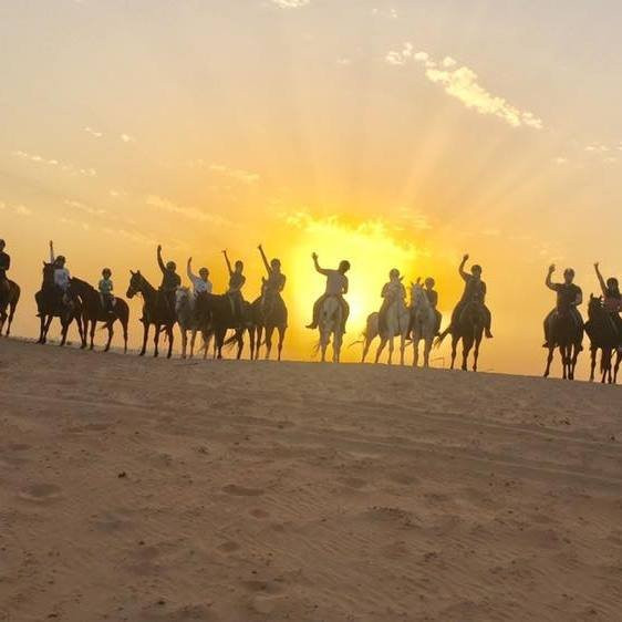 Pro Ride Stables-迪拜必去景点