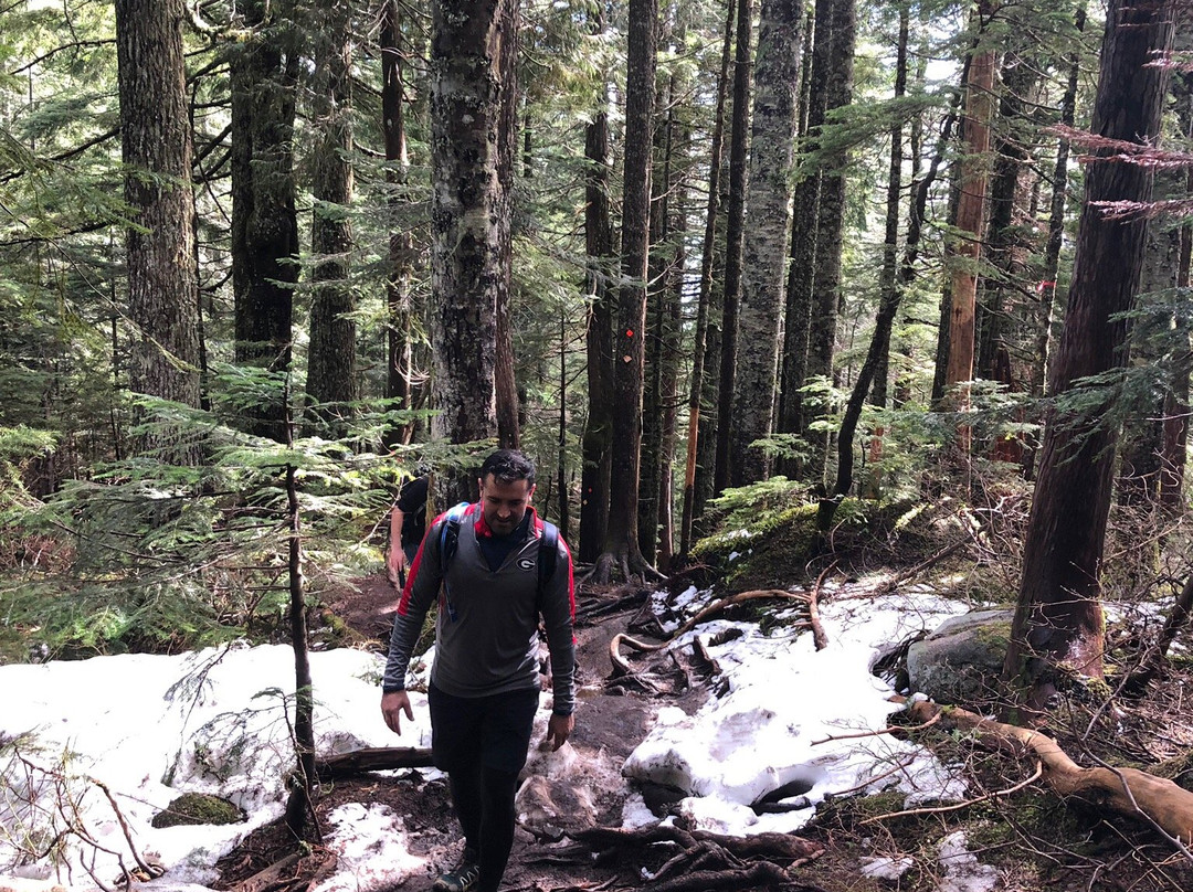 BCMC Trail-北温哥华必去景点