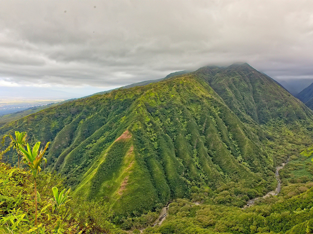 Waiheʻe Ridge Trail景点图片