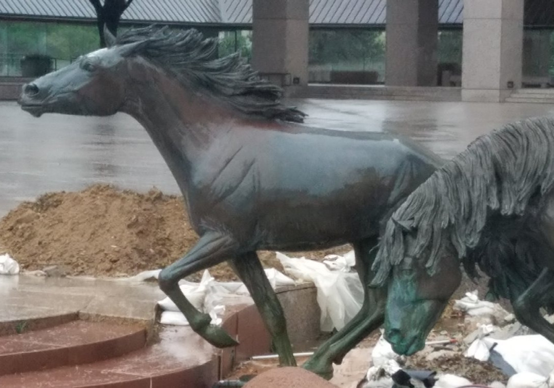 Mustangs of Las Colinas-欧文必去景点