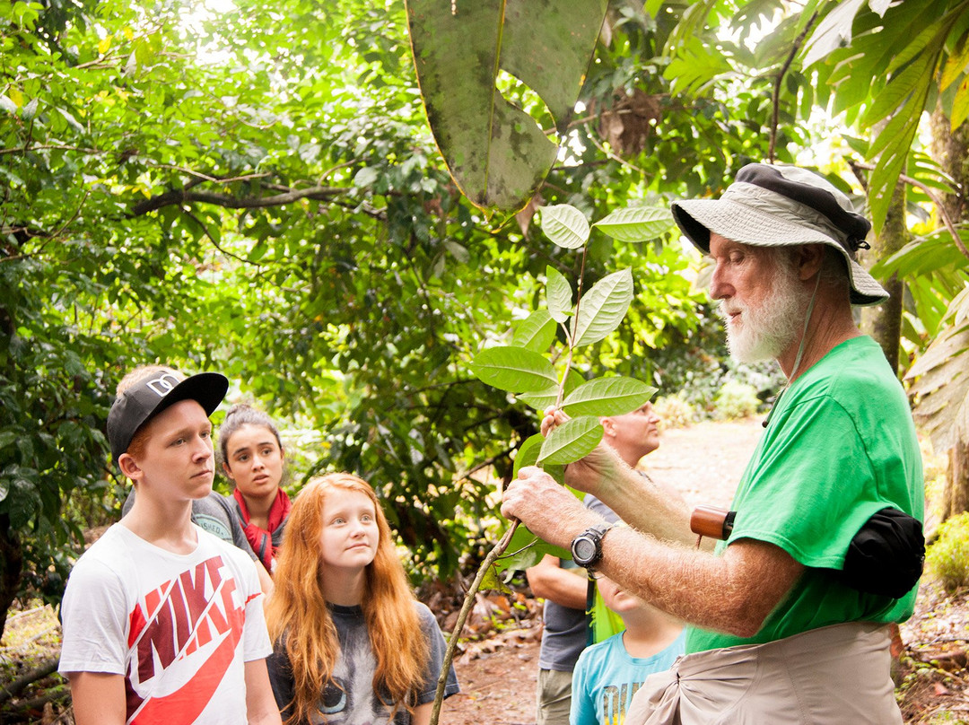 Tours At Finca Luna Nueva景点图片