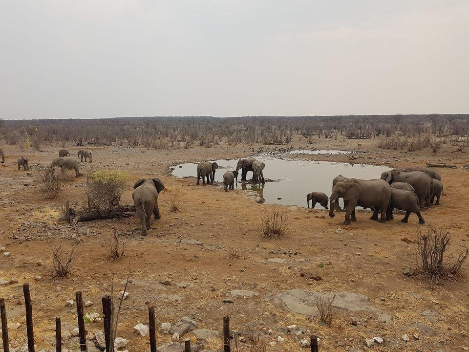 Motema Tours and Safaris Namibia-温德和克必去景点