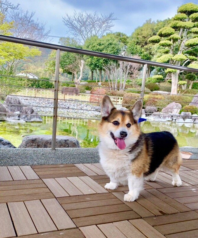 Kappa Romancekan主图