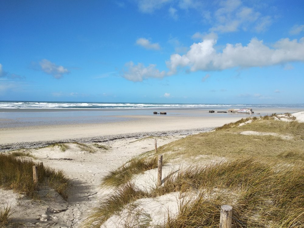 Kermabec Beach景点图片