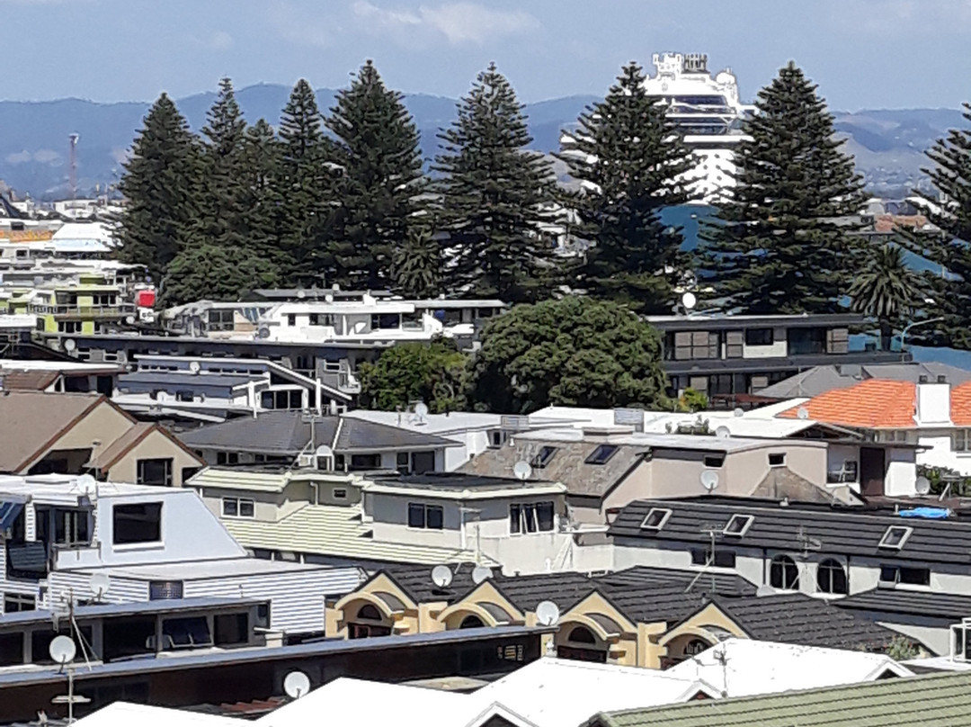 The Atrium Apartments主图