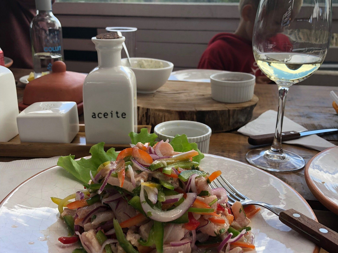 Rio Bueno旅游景点-Casa Kuc