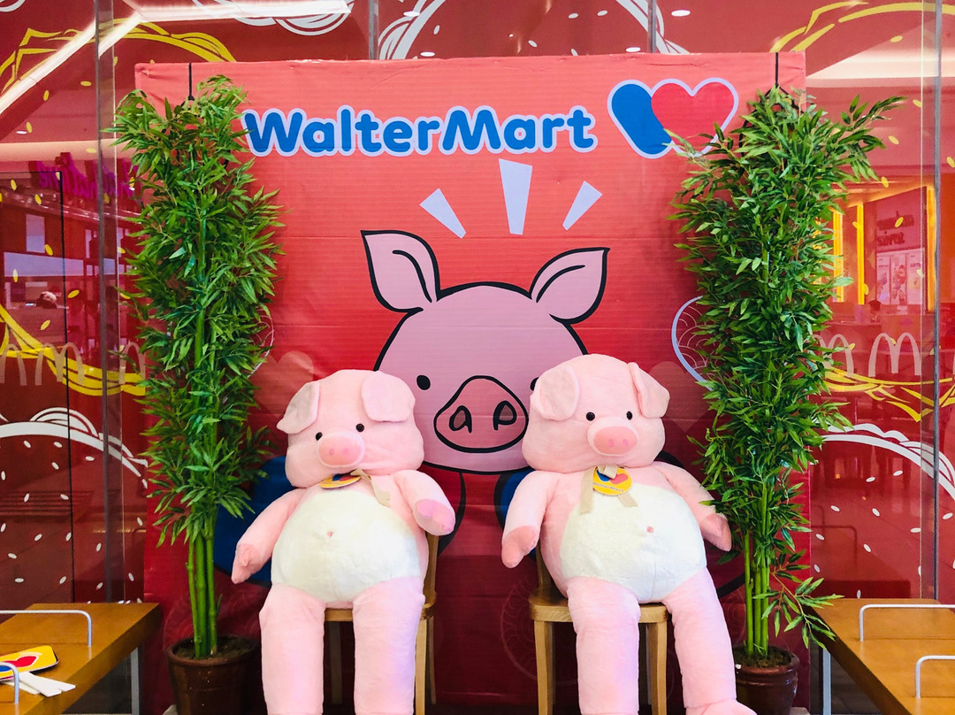 W.Mall-帕塞必去景点