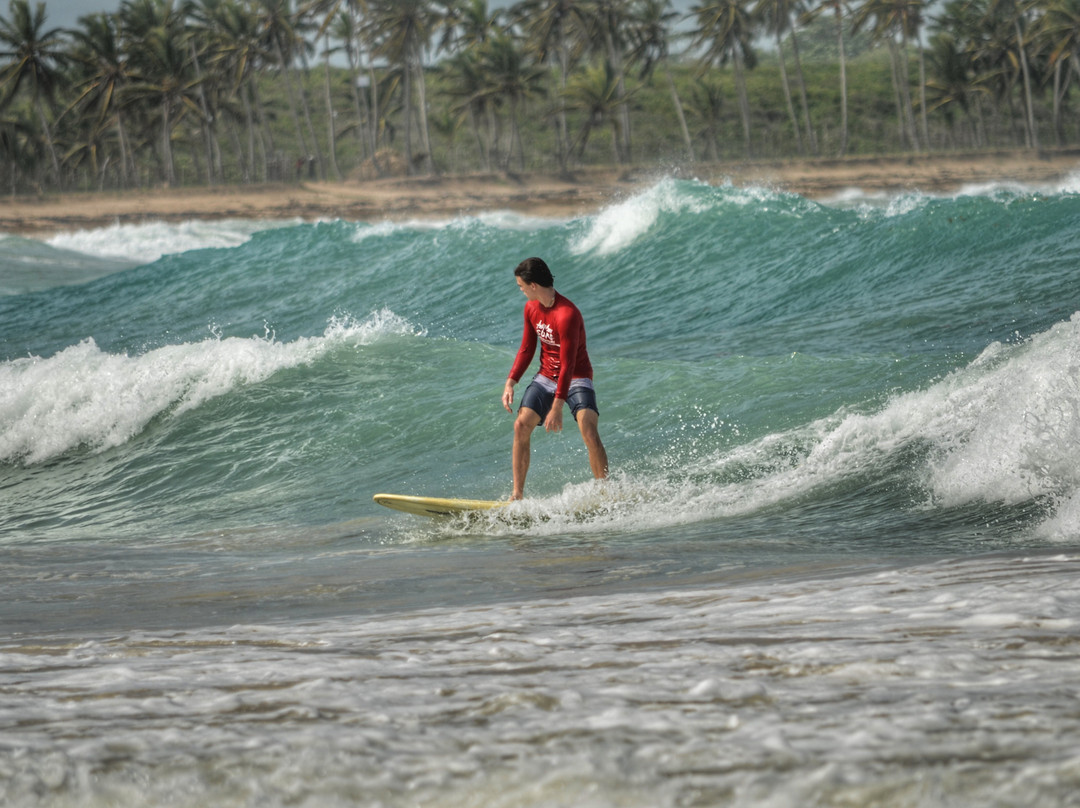 Punta Cana Surf Adventure景点图片