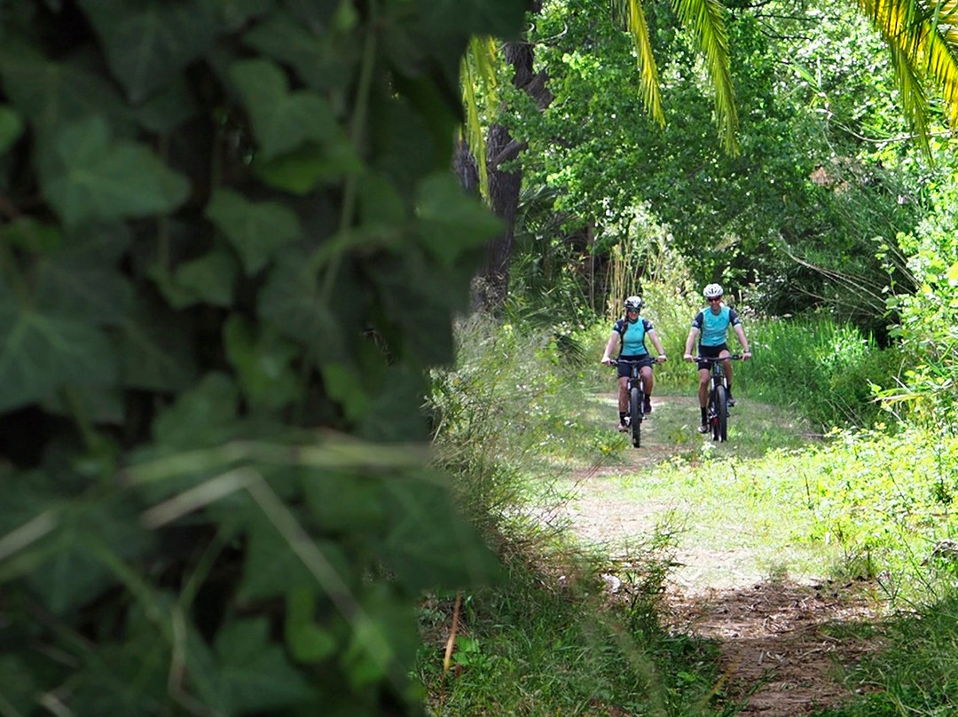 Mediterranean Bike Tours景点图片