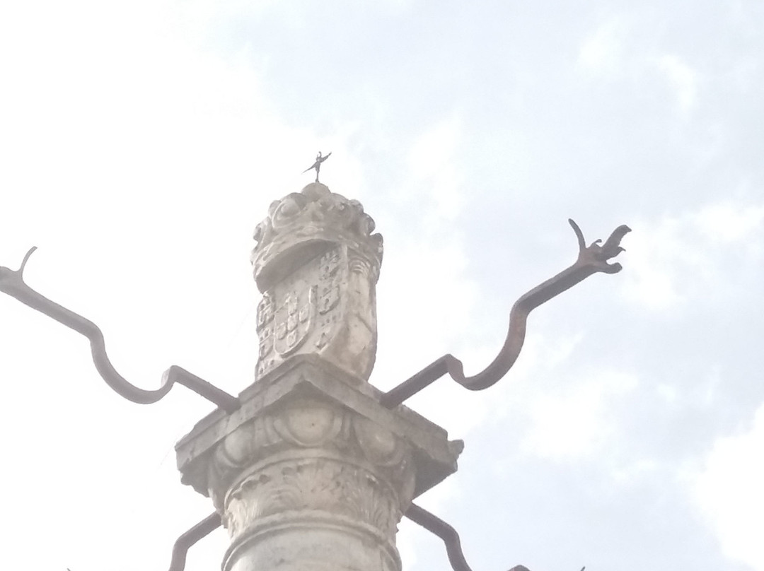 Pelourinho de Palmela景点图片