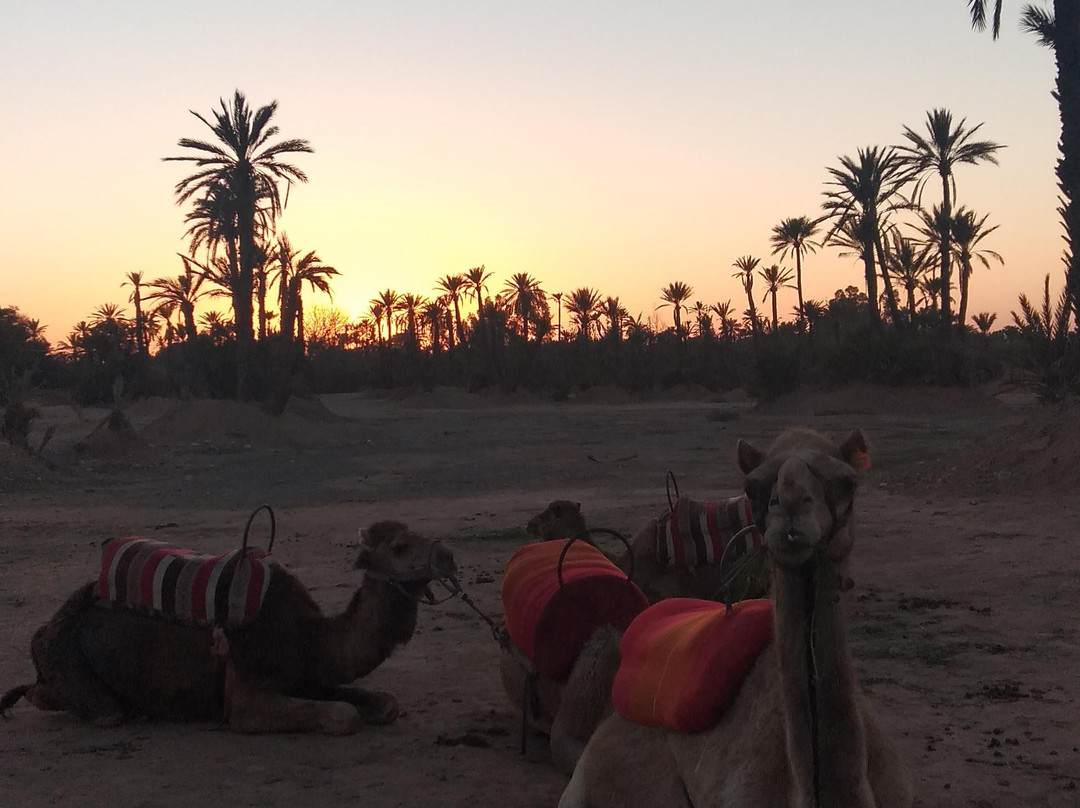 imskre tours-马拉喀什必去景点