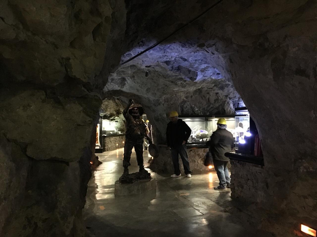 Museo De Minerales & Fosiles-萨卡特卡斯必去景点