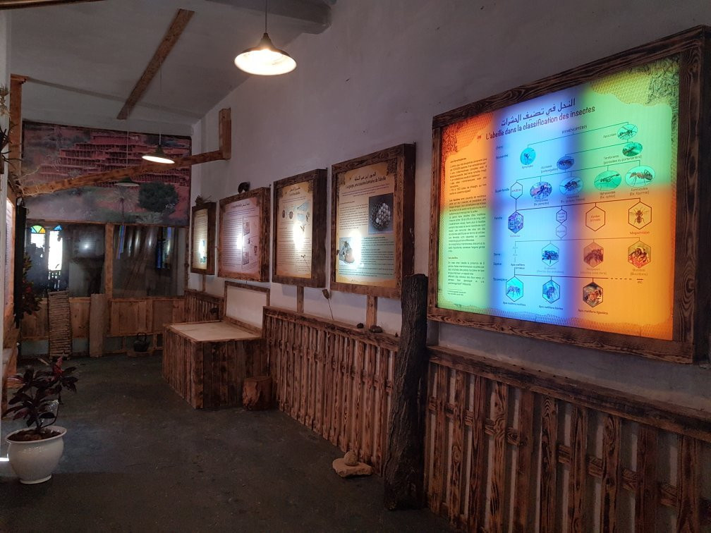 Sale旅游景点-Musee De l'Abeille Vivante