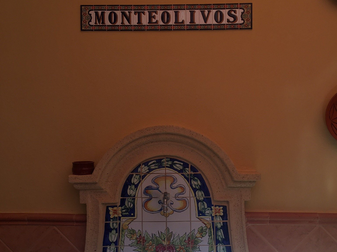 Hostal Monteolivos