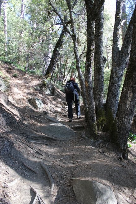 Lewis Creek Trail-奥克赫斯特必去景点