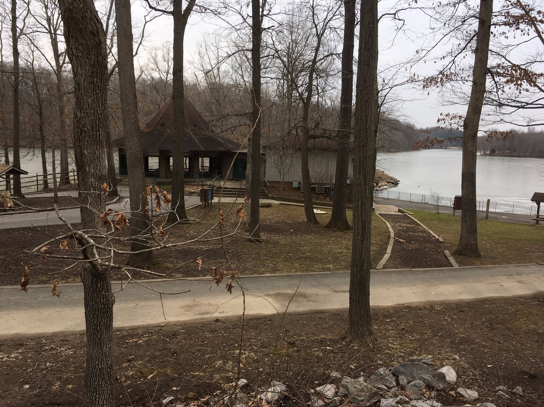 Lake Needwood-罗克维尔必去景点