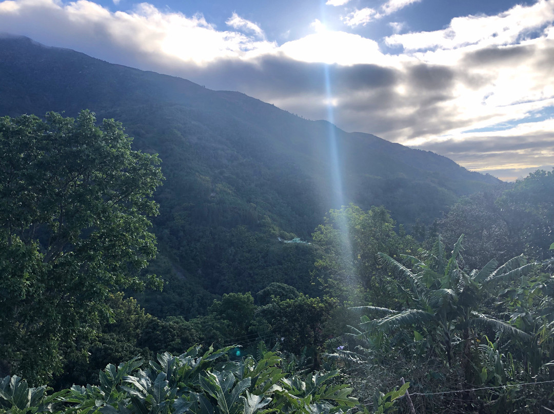 Jay's Guest House主图