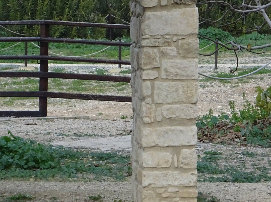Kition Archaeological Site景点图片