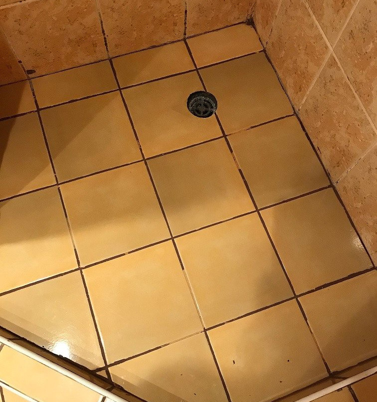 维塔公园酒店主图