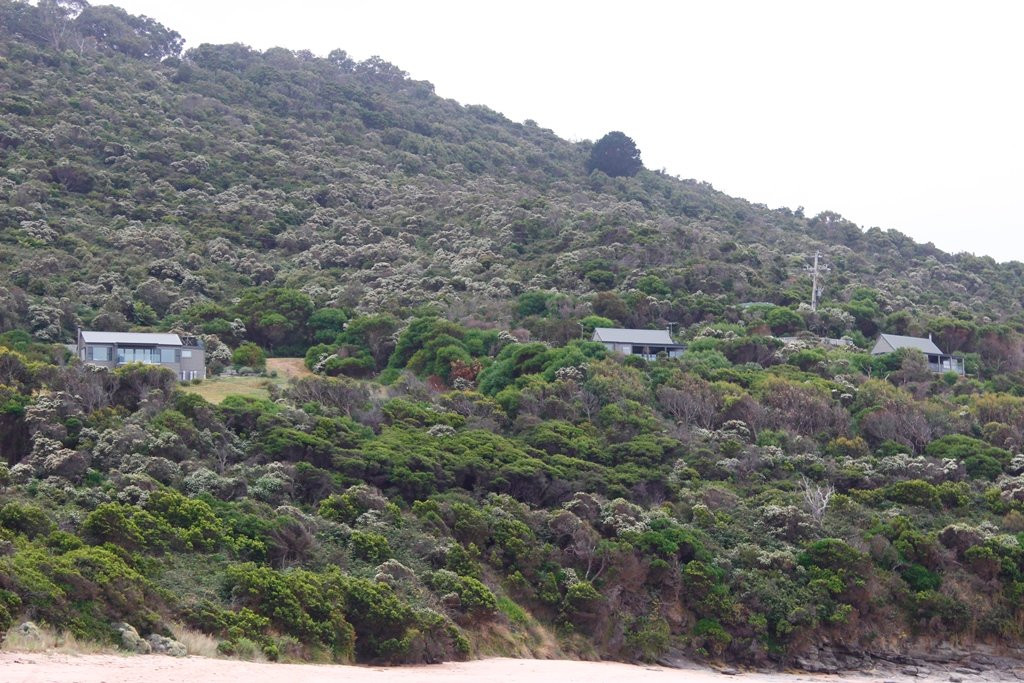 Points South By The Sea主图