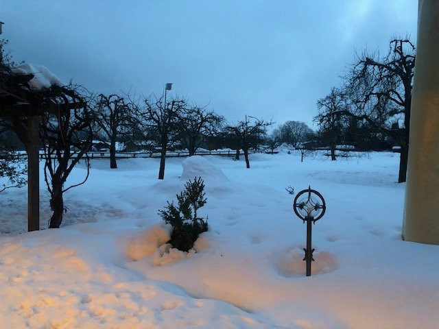 Hotel Alpenhof主图