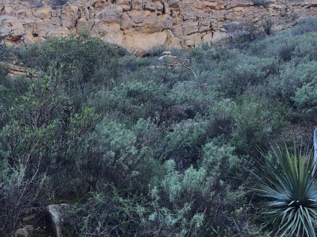 Black Star Canyon Trail-橘子郡必去景点