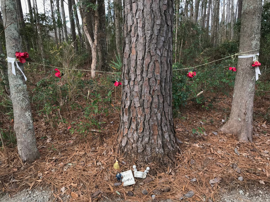 Wee Wonderland-美特尔海滩必去景点