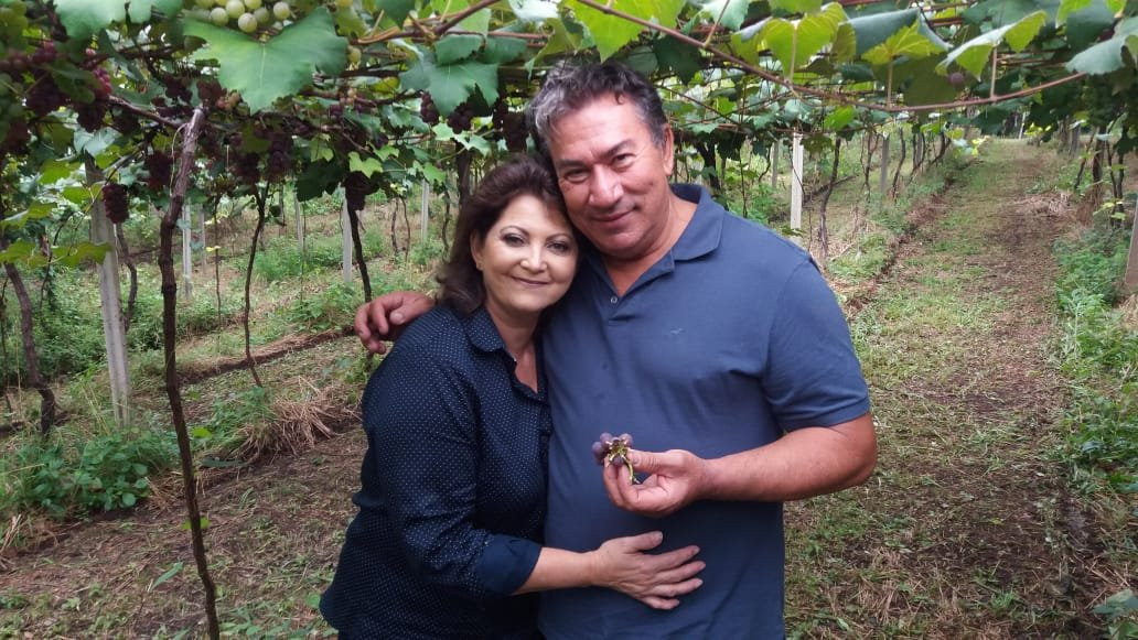 Vinicola Sanber-Bituruna必去景点