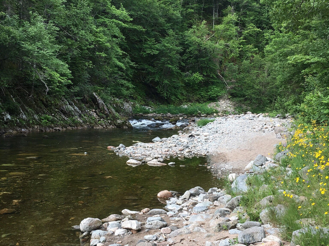 North River Provincial Park景点图片