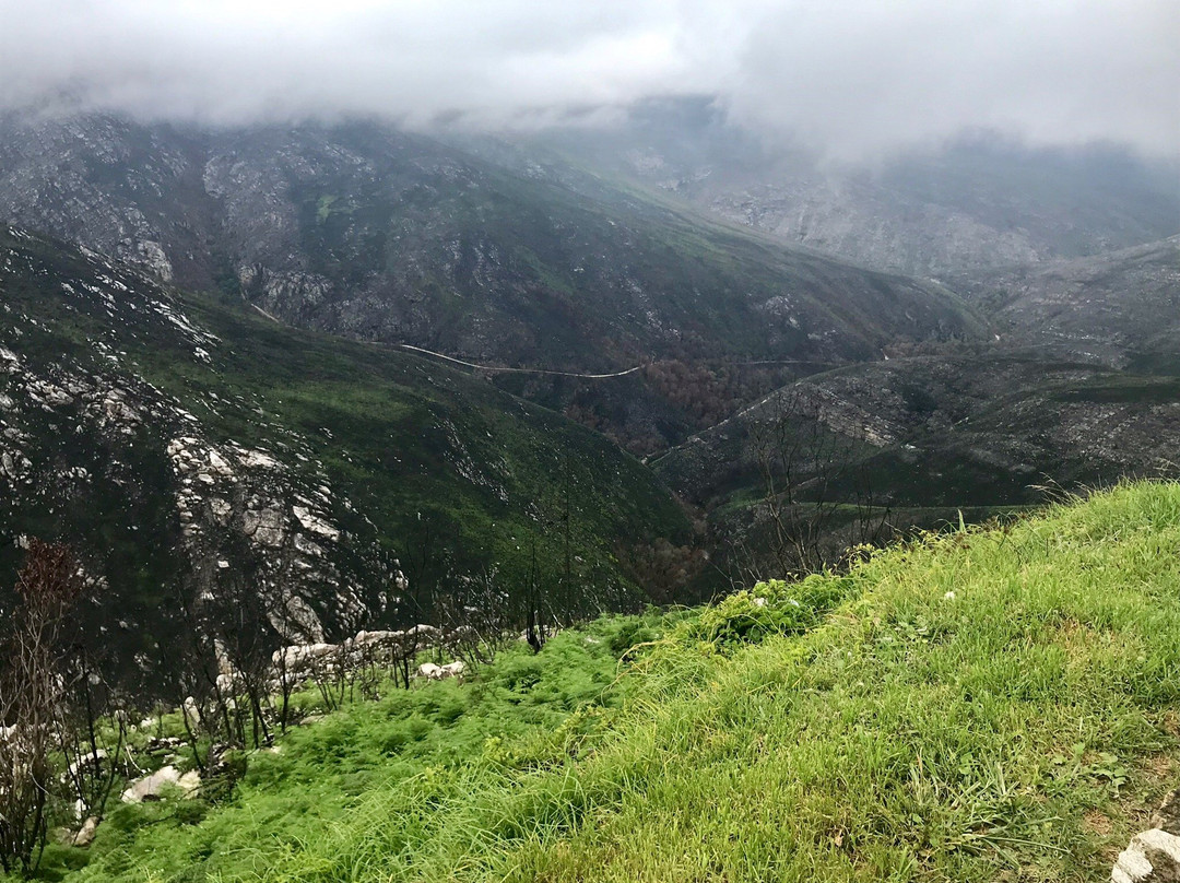 Outeniqua Pass-乔治必去景点