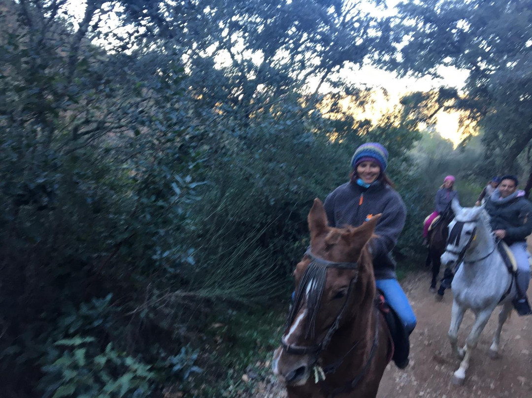 Finca la Suerte. Picadero La Suerte景点图片