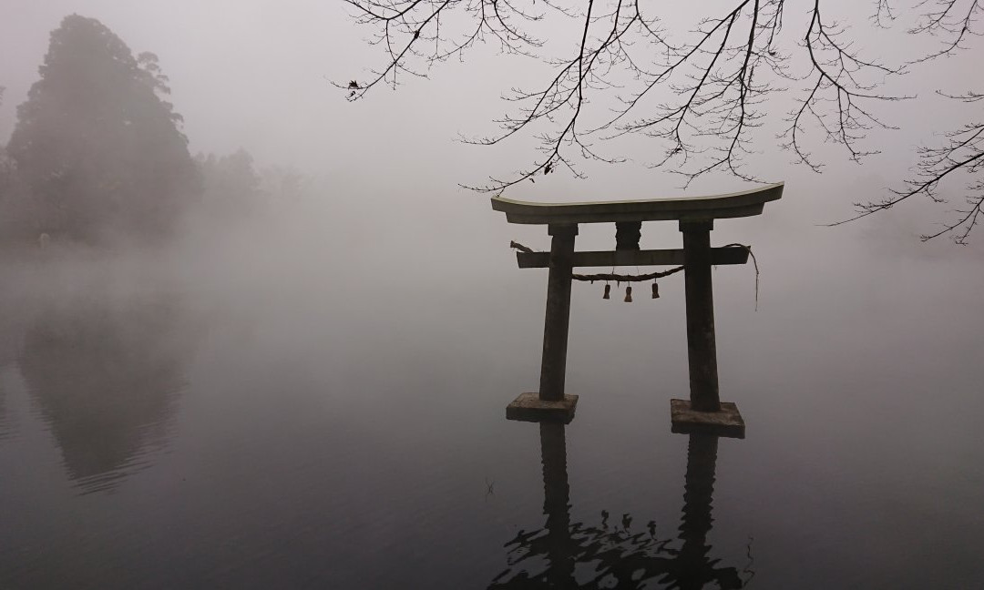 Tenso Shrine景点图片
