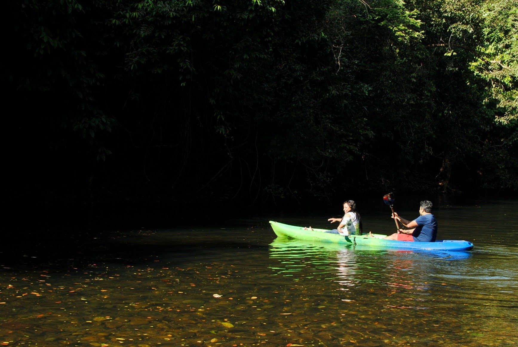 Wild Woods Spa and Resort-官方