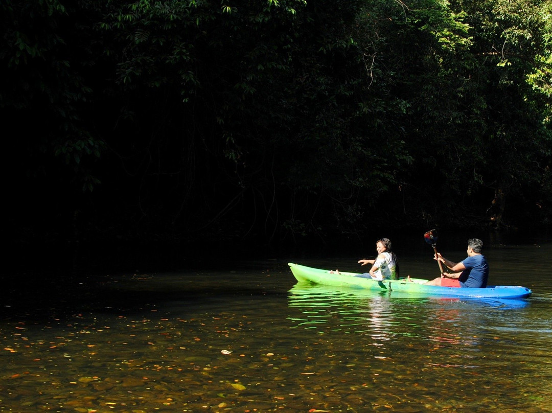 Wild Woods Spa and Resort主图