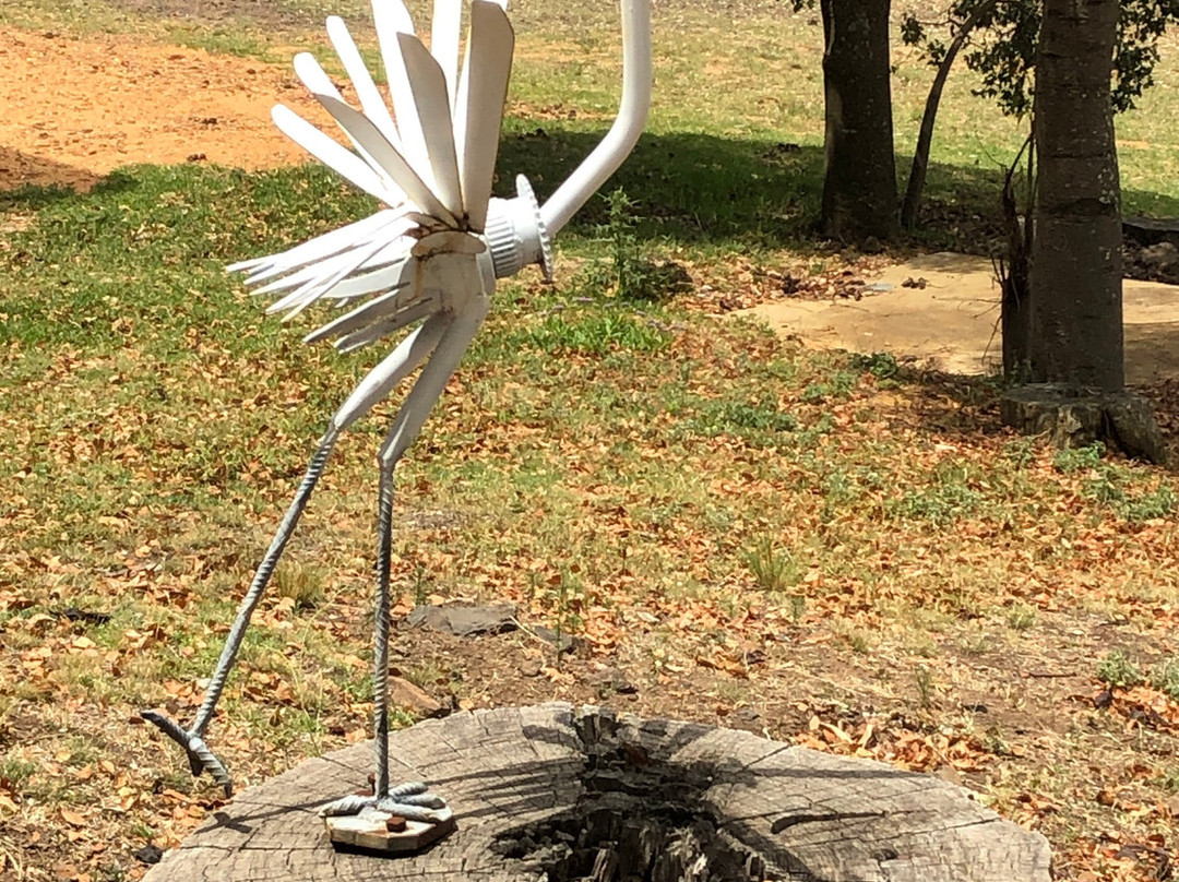 Coonabarabran Visitor Information Centre景点图片