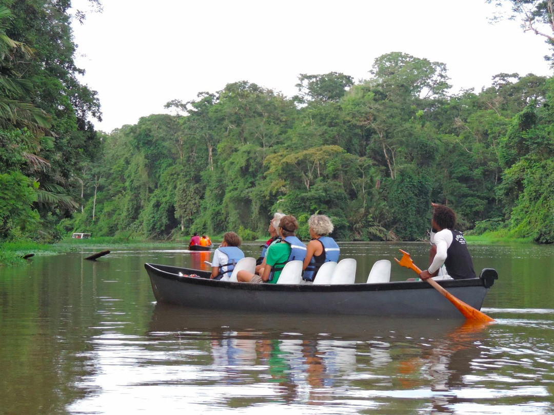 Tortuguero Tours景点图片