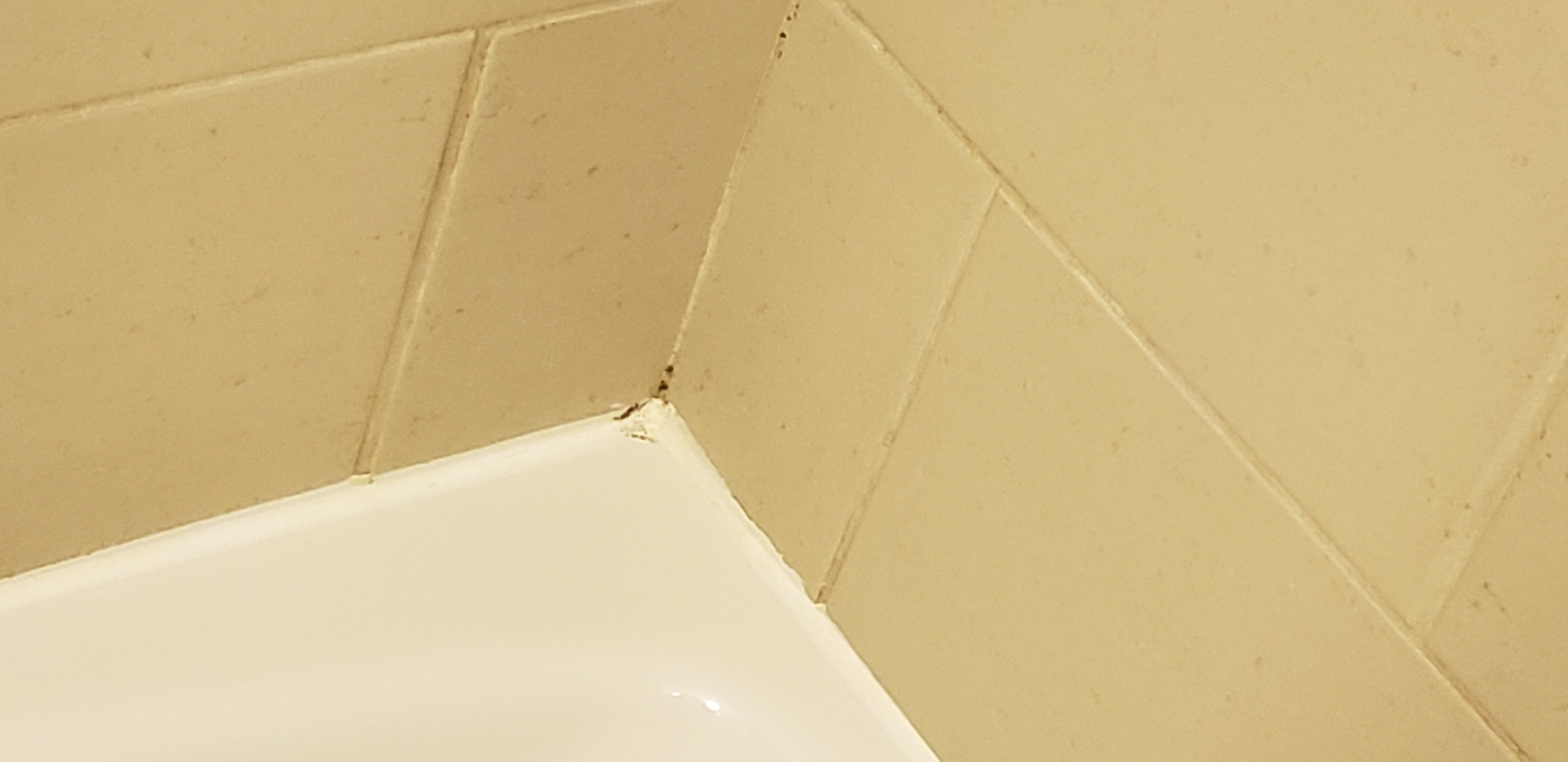伦巴第约克镇中心威斯汀酒店-浴室