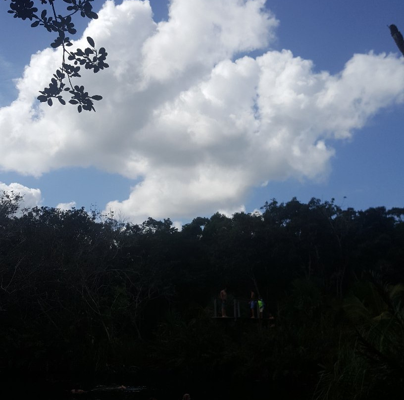 Cenote Cristal-尤卡坦半岛必去景点