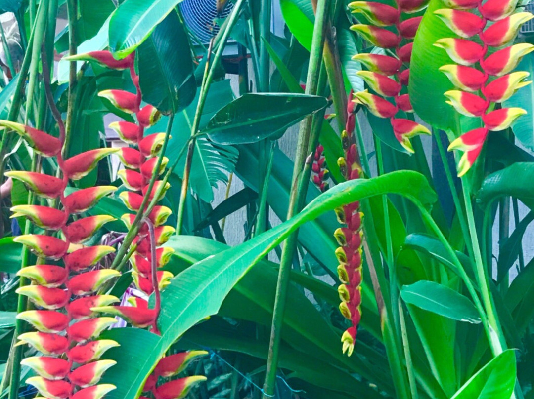 Hotel Puerto Gaviota主图