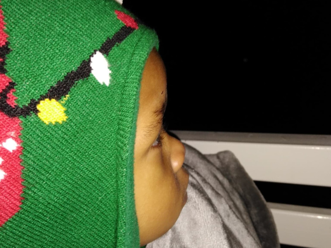 Callaway Resort & Gardens-Pine Mountain必去景点