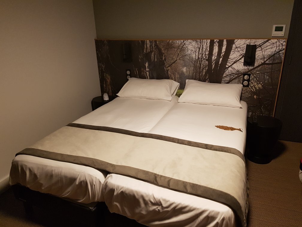 Hotel The Originals Saint Roch-官方