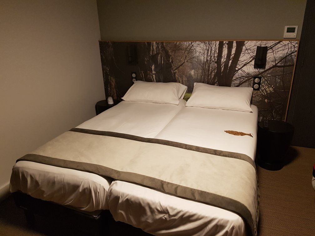 Hotel The Originals Saint Roch主图